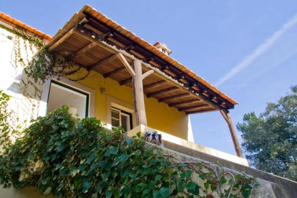 Casa Da Ruiva Villa Serra Exterior foto
