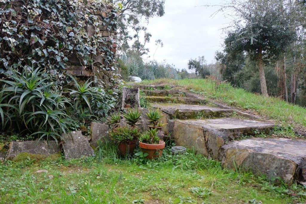 Casa Da Ruiva Villa Serra Exterior foto